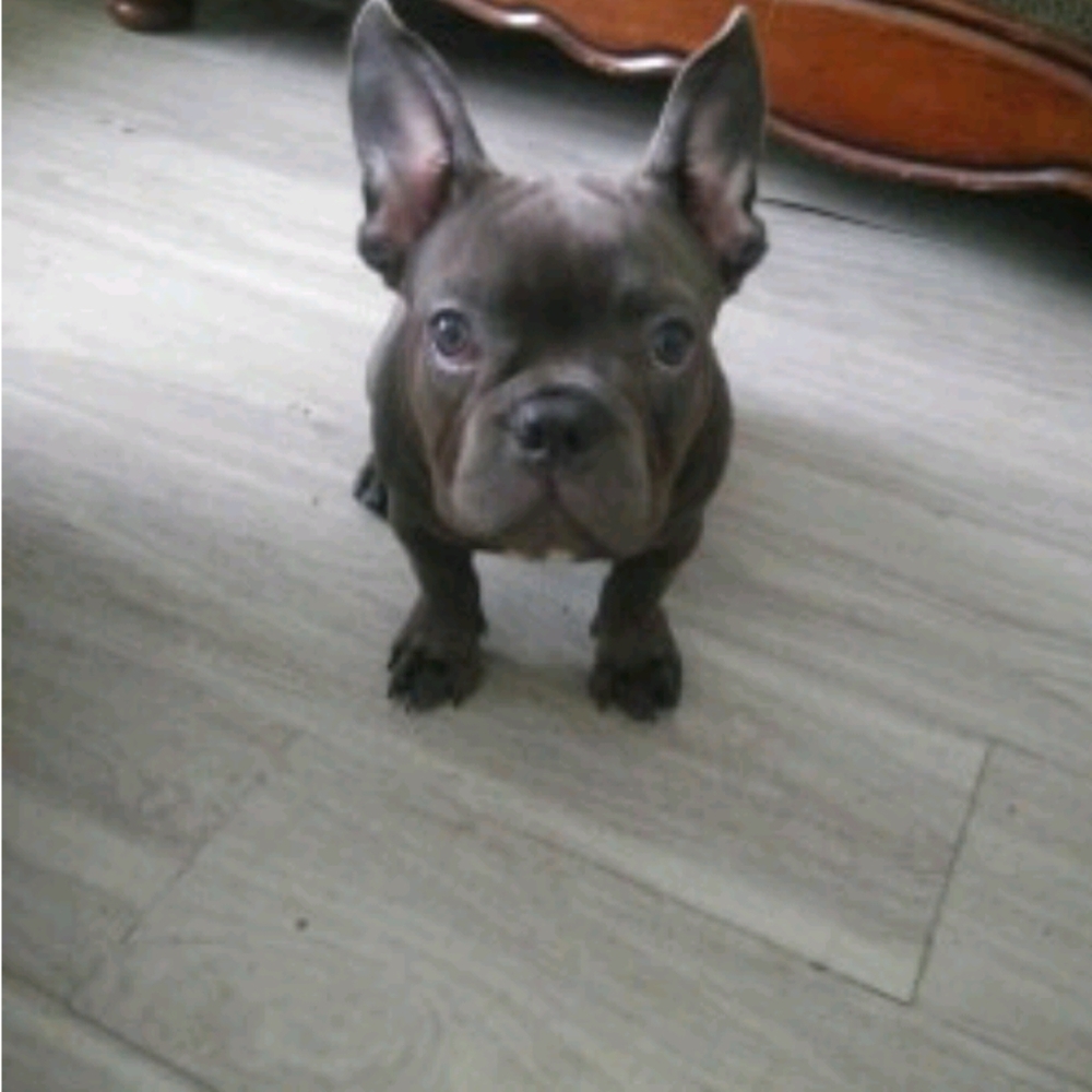 Meet your Posher, Trey